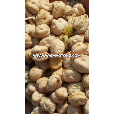 Indian chick peas