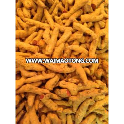 Price of raw turmeric