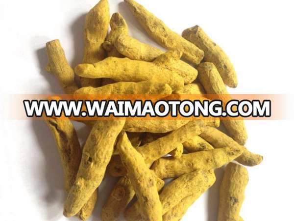 turmeric fingers