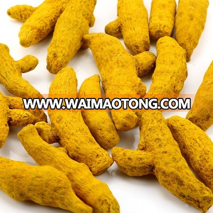 PURE HIGH QUALITY DRY TURMERIC FINGERS EXPORTER IN INDIA